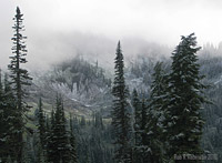 Early Snow, Mt. Ranier