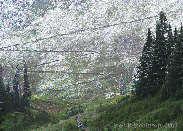 Switchbacks, Mt. Ranier