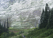 Mt. Ranier Switchbacks